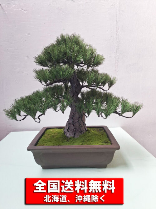 【送料無料】 盆栽 松 大型 人工樹木 インテリア 光触媒 人工観葉植物 和インテリア bonsai フェイク 飲食店 オフィス ホテル 旅館 日本家屋 光触媒加工済み イベント 式典 祭典 祝賀会 お祝い 長寿 学校 卒業式 H580mm